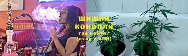 PSILOCYBIN Новодвинск