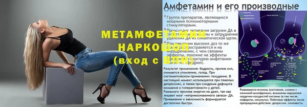 прущие грибы Новокубанск