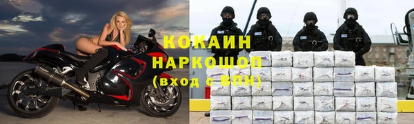 PSILOCYBIN Новодвинск