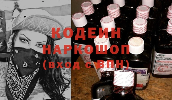 apvp Бикин