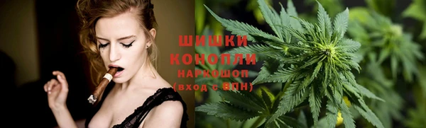 PSILOCYBIN Новодвинск