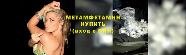 прущие грибы Новокубанск