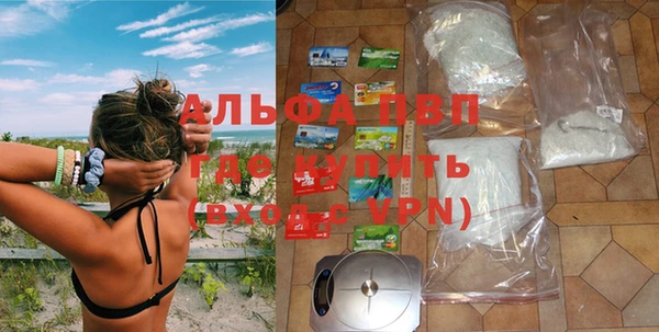 прущие грибы Новокубанск