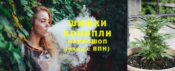 прущие грибы Новокубанск