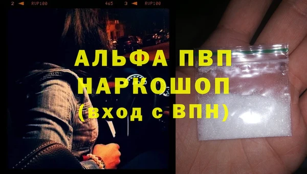 индика Беслан